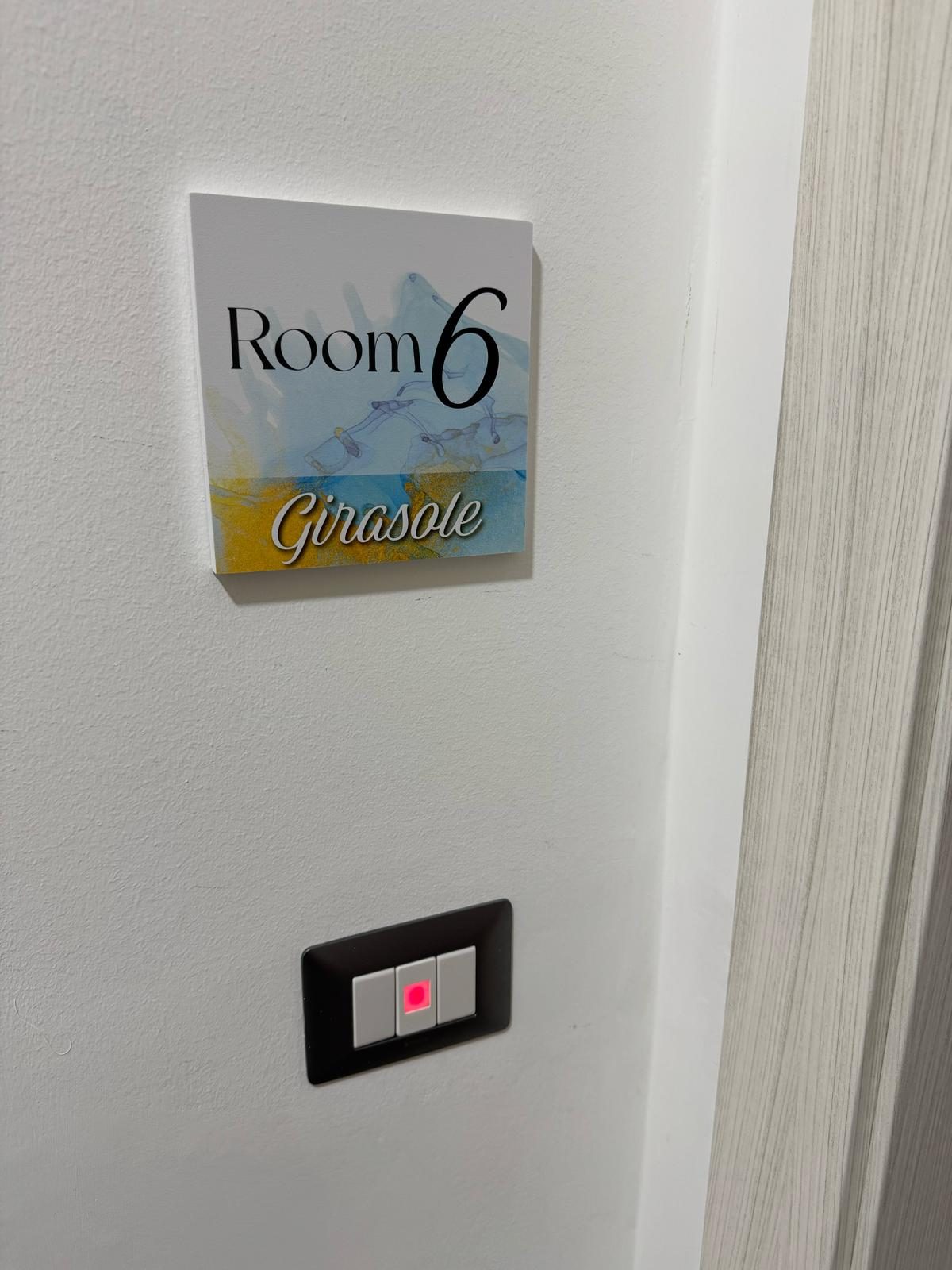 Girasole — altra angolazione